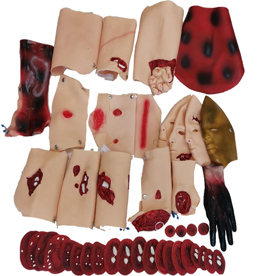 43部件創(chuàng)傷評估模塊