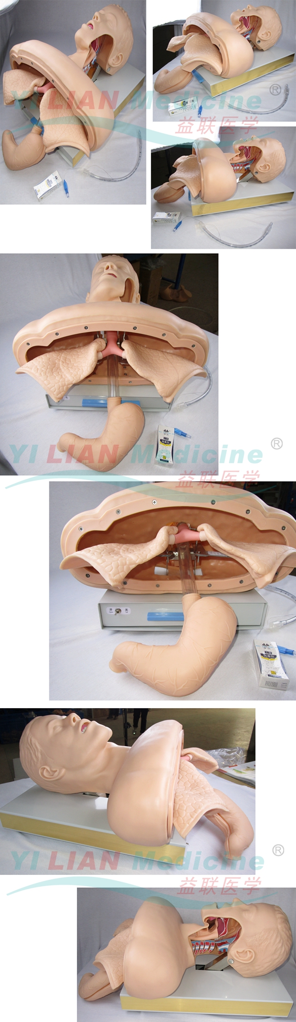 高級(jí)人體氣管插管訓(xùn)練模型
