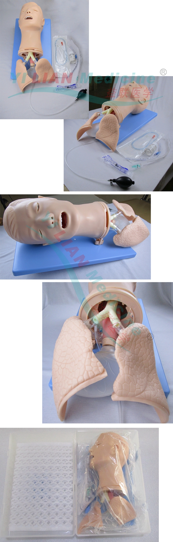 高級多功能氣道管理模型