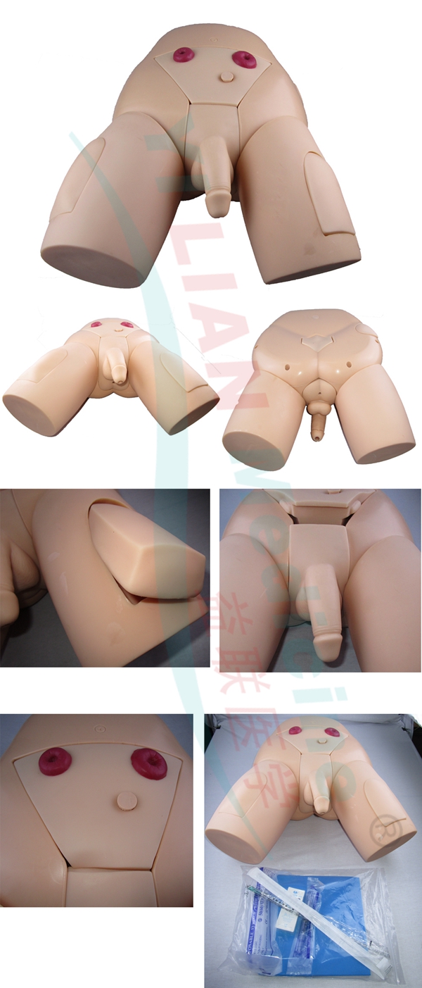 高級整體男性導(dǎo)尿模型