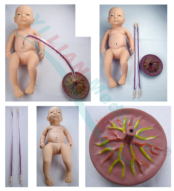 高級新生兒臍帶護(hù)理模型