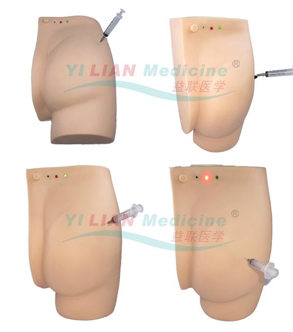 高級電子臀部注射訓(xùn)練模型