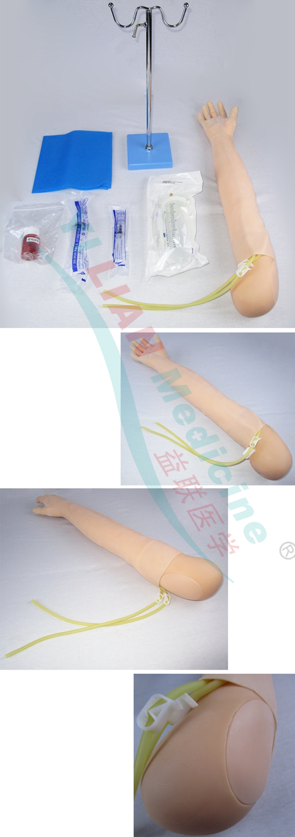 靜脈穿刺及肌肉注射手臂模型