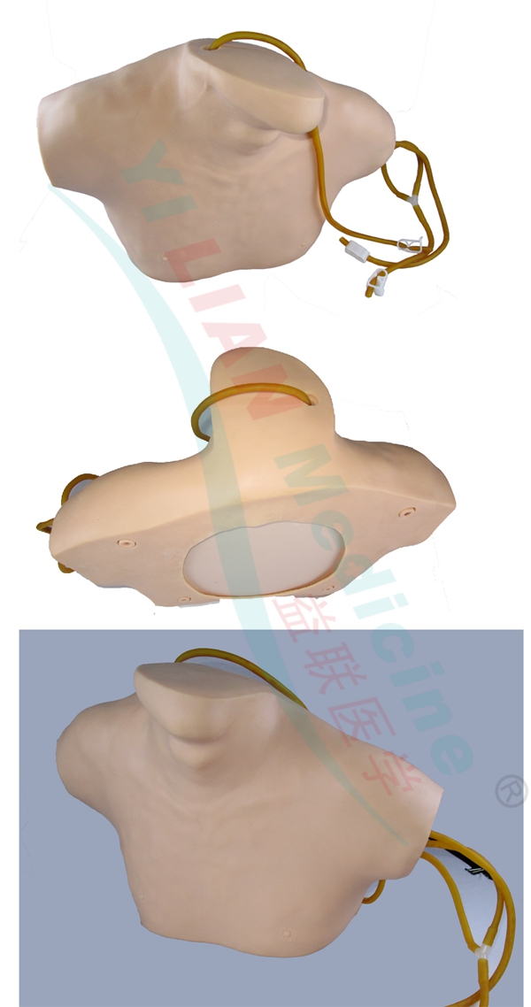 中心靜脈穿刺插管模型