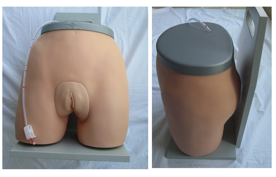 高級羊膜腔穿刺模型