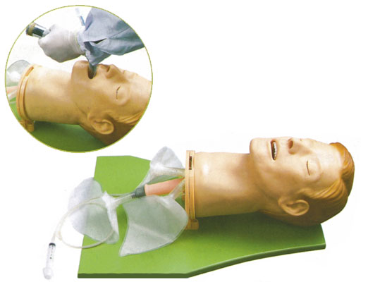 高級(jí)多功能氣道管理模型