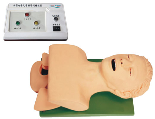 電子人體氣管插管訓(xùn)練模型(帶報(bào)警)