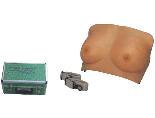 高級(jí)乳房檢查模型