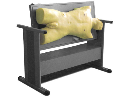 腹部移動(dòng)性濁音叩診與腹腔穿刺訓(xùn)練模型