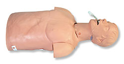 成人氣管插管訓(xùn)練模型