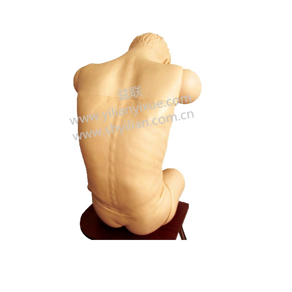 綜合穿刺術(shù)技能訓(xùn)練模擬人