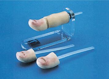 拔甲術訓練仿真模型