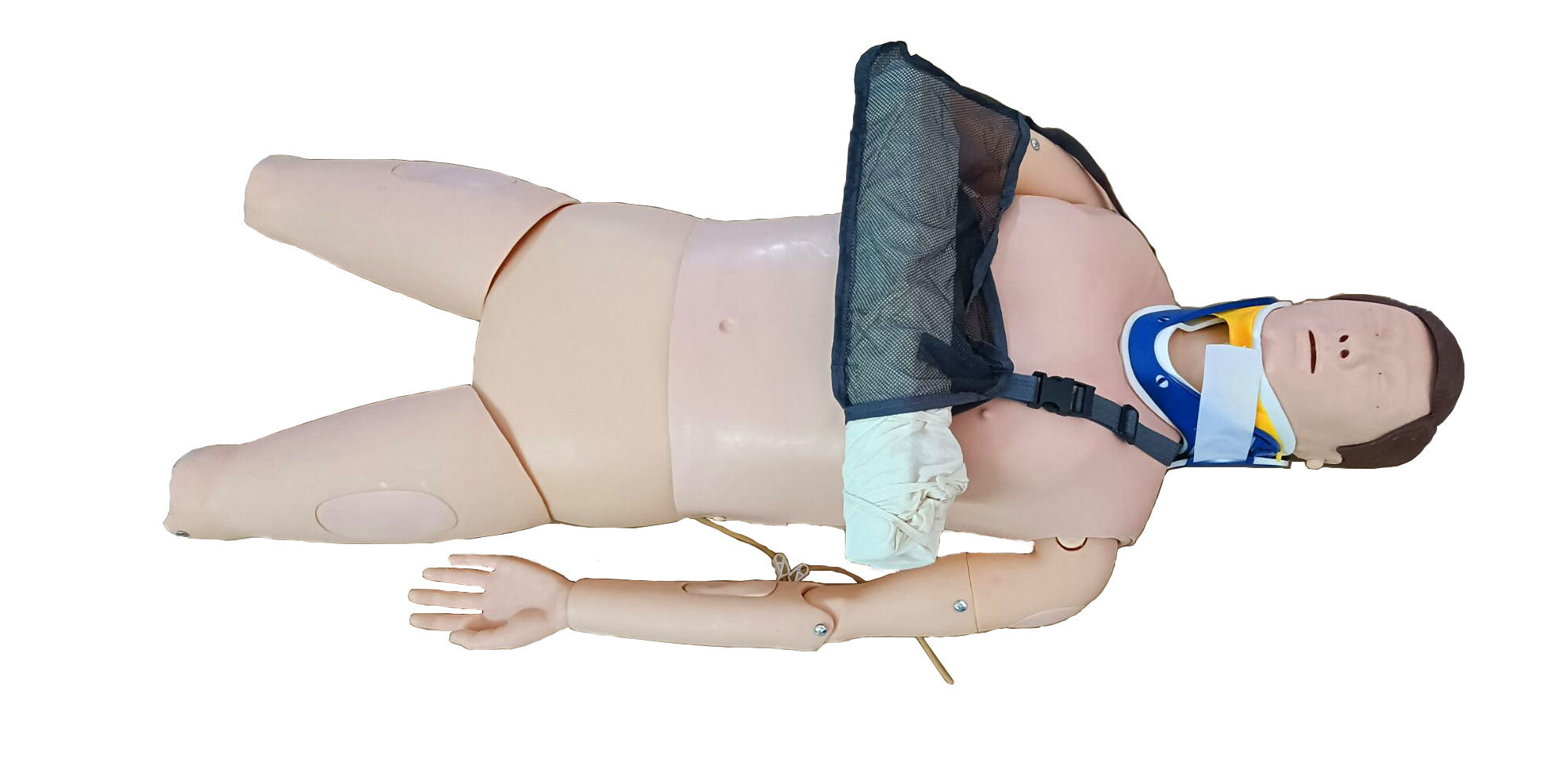 四肢骨折急救外固定訓練仿真標準化病人