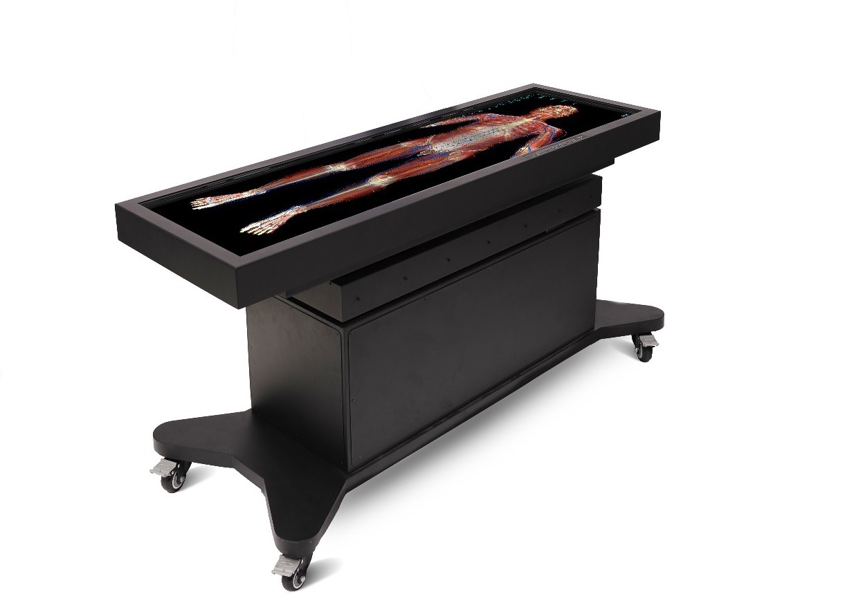 中醫(yī)經(jīng)絡(luò)腧穴解剖教學(xué)平臺